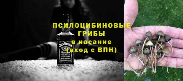 спиды Алексеевка