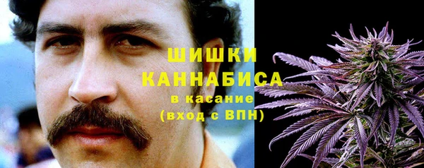 ешки Алзамай