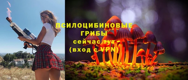 спиды Алексеевка