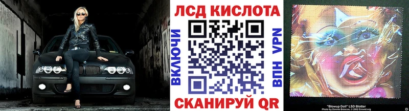 где купить наркотик Новоузенск Наркотические марки 1500мкг