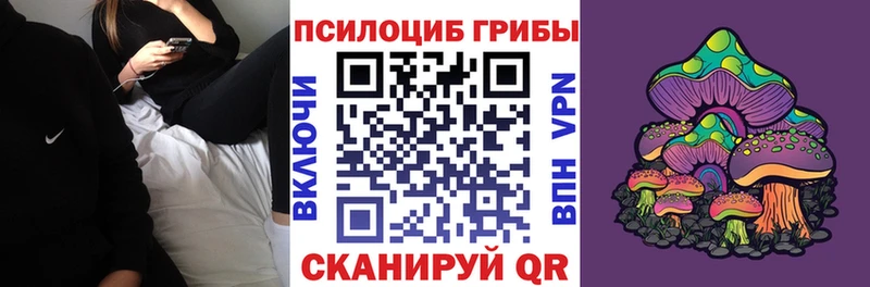 Галлюциногенные грибы Magic Shrooms  Новоузенск 