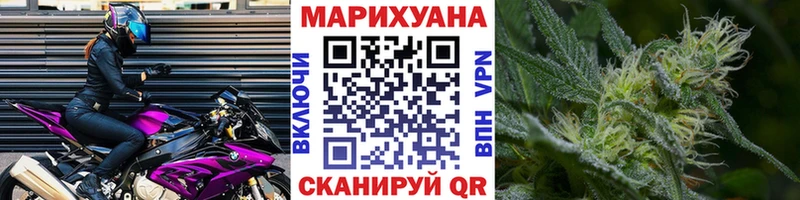 хочу наркоту  Новоузенск  Бошки марихуана индика 